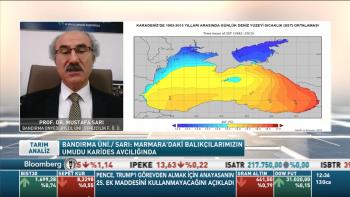 Denizcilik Fakültesi Dekanımız Prof. Dr. Mustafa Sarı Bloomberg Kanalına Konuk Oldu